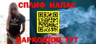 прущие грибы Краснодар