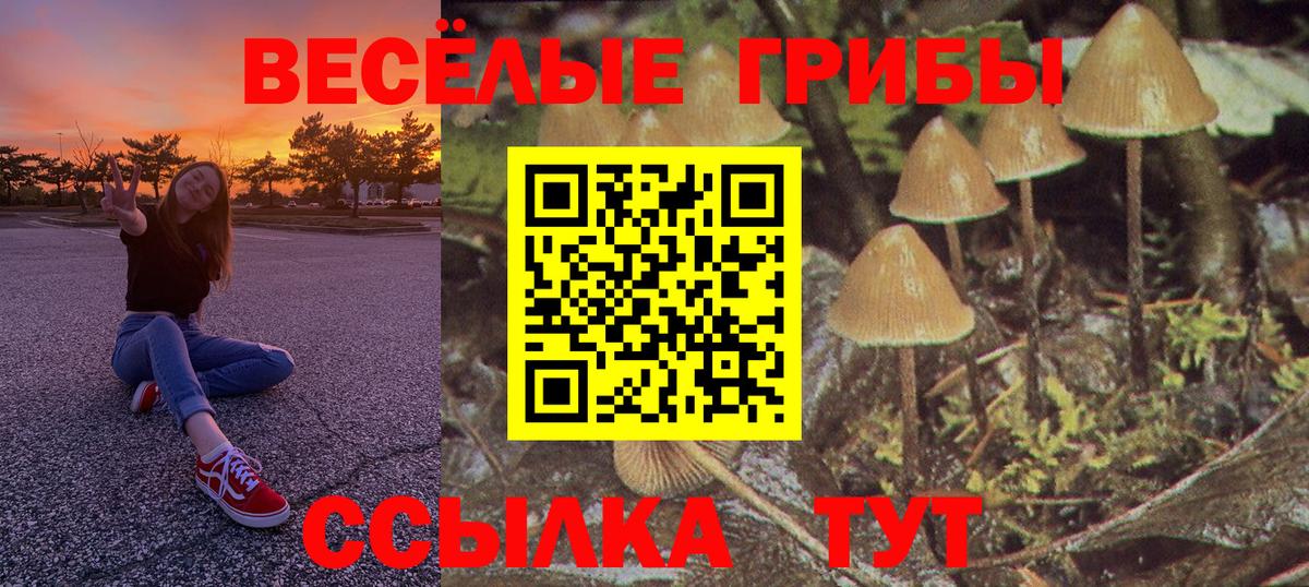 цена наркотик  Вход с VPN  Златоуст  Галлюциногенные грибы Magic Shrooms  Псилоцибиновые грибы ЛСД 